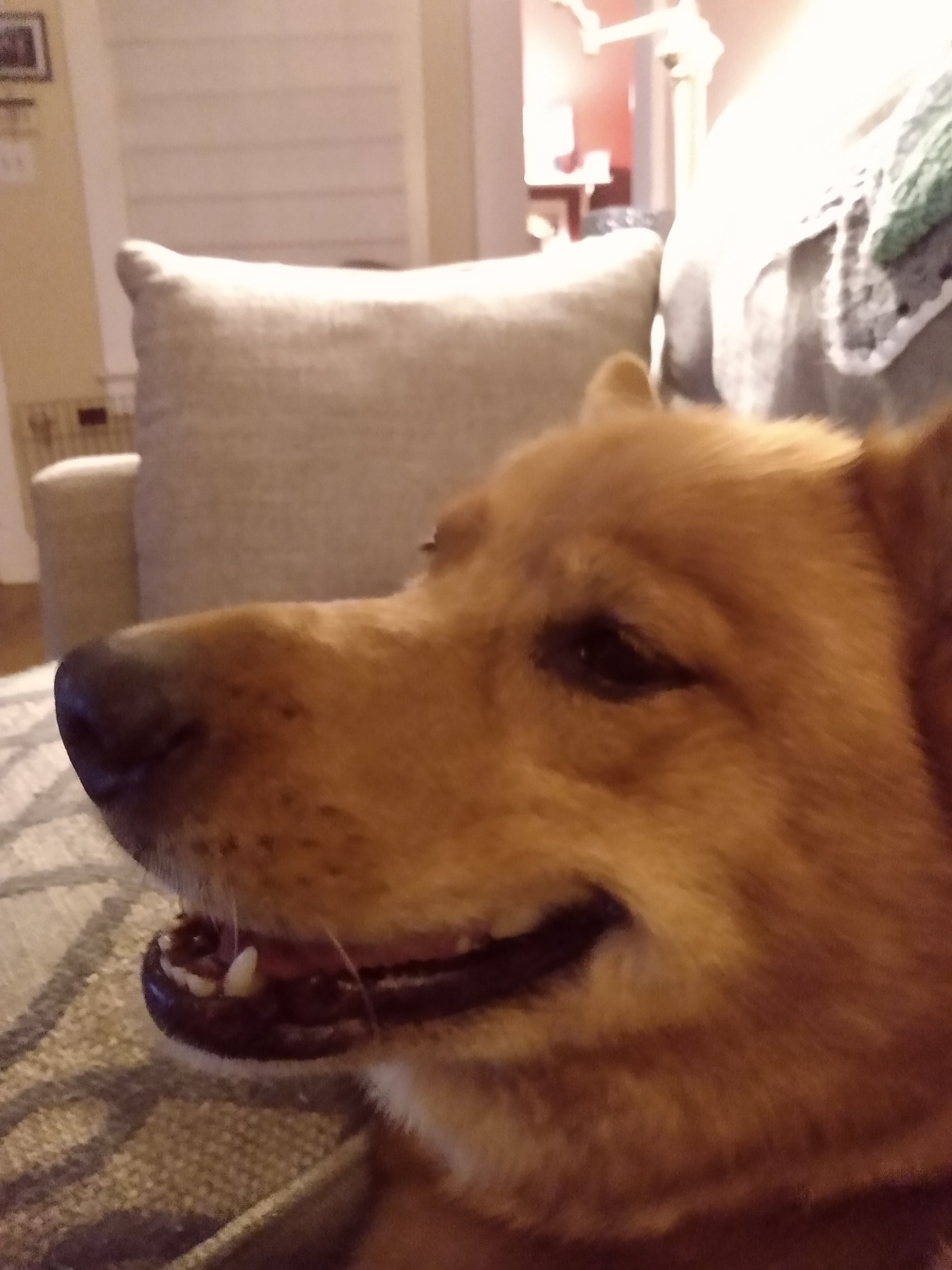 Stormy smiling on the couch.